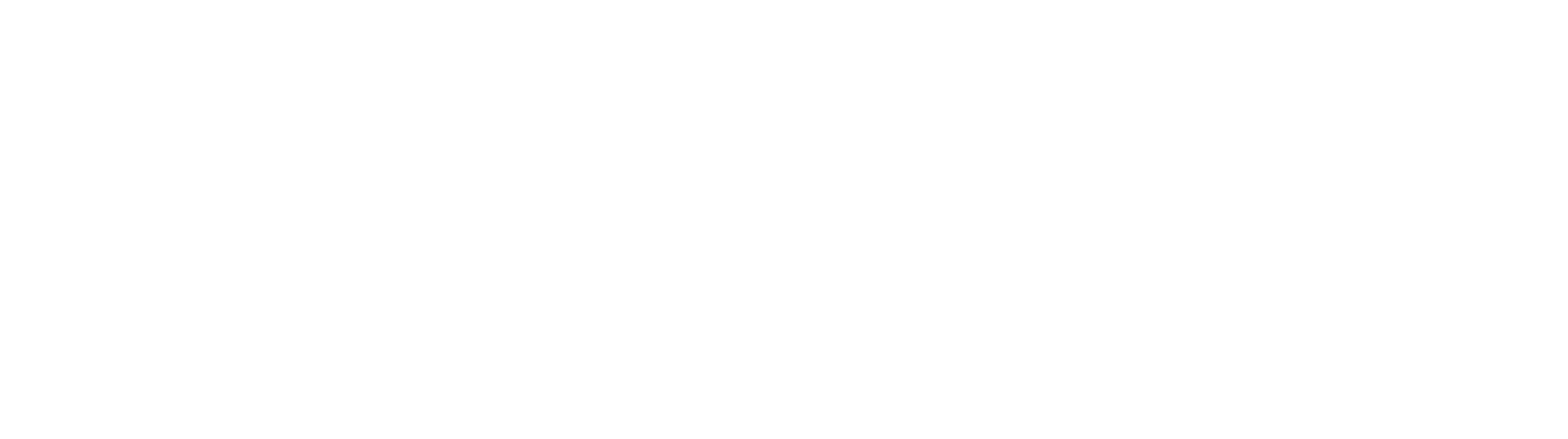 Logo Tiendanube Partners Negativo (1)